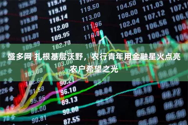 盛多网 扎根基层沃野，农行青年用金融星火点亮农户希望之光