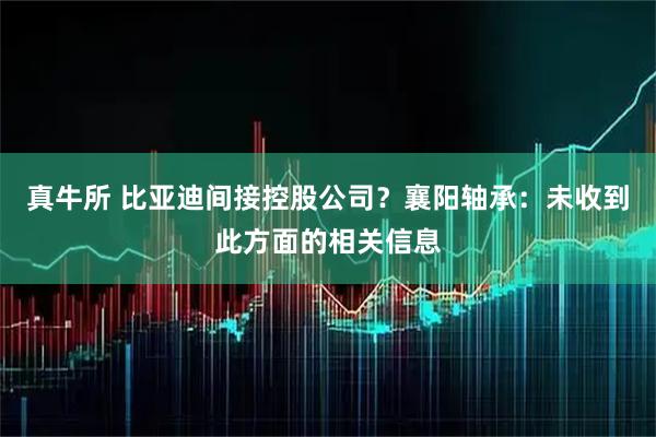 真牛所 比亚迪间接控股公司？襄阳轴承：未收到此方面的相关信息