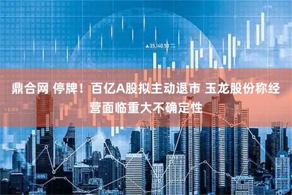 鼎合网 停牌！百亿A股拟主动退市 玉龙股份称经营面临重大不确定性