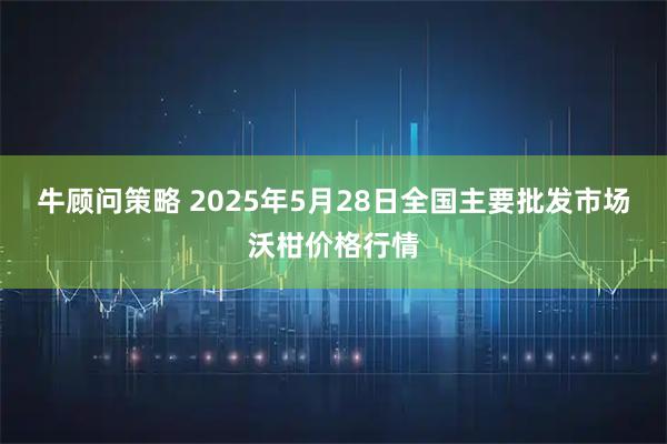 牛顾问策略 2025年5月28日全国主要批发市场沃柑价格行情