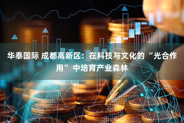 华泰国际 成都高新区：在科技与文化的 “光合作用” 中培育产业森林