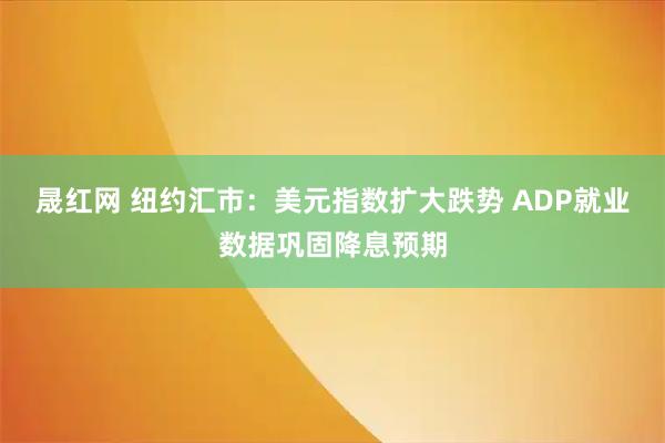 晟红网 纽约汇市：美元指数扩大跌势 ADP就业数据巩固降息预期