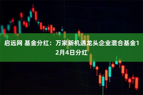 启远网 基金分红：万家新机遇龙头企业混合基金12月4日分红